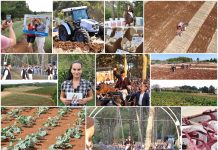 Poljoprivredna emisija Boje zemlje 9.10.2022.