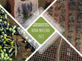 Monosortna maslinova ulja