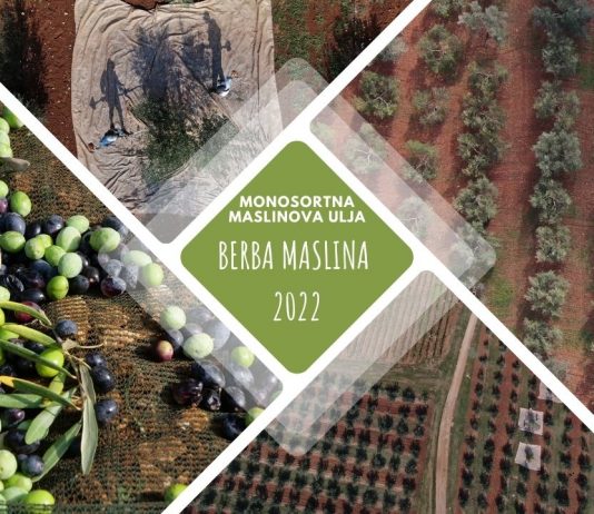 Monosortna maslinova ulja