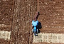 Objavljen Javni poziv za dodjelu potpore poljoprivredi i ruralnom razvoju na području Istarske županije za 2022. godinu