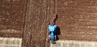 Objavljen Javni poziv za dodjelu potpore poljoprivredi i ruralnom razvoju na području Istarske županije za 2022. godinu