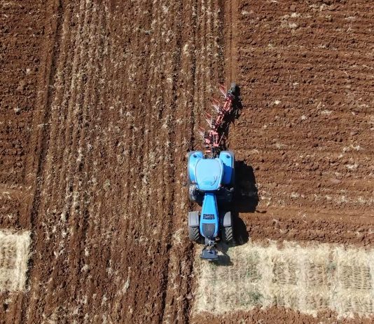 Objavljen Javni poziv za dodjelu potpore poljoprivredi i ruralnom razvoju na području Istarske županije za 2022. godinu