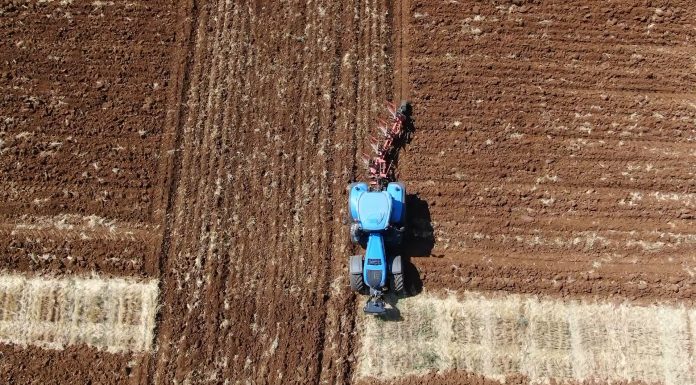 Objavljen Javni poziv za dodjelu potpore poljoprivredi i ruralnom razvoju na području Istarske županije za 2022. godinu