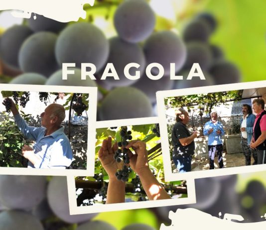 Zdravi grozdovi – nezdravo vino