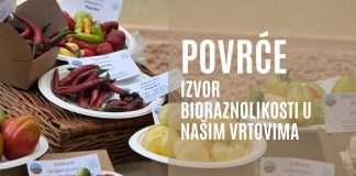 Povrće – izvor bioraznolikosti u našim vrtovima