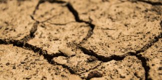 U Vodnjanu prijava štete od suše do 24. listopada 2022.