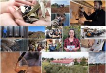 Poljoprivredna emisija Boje zemlje 13.11.2022.