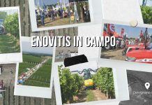 CERVIGNANO DEL FRIULI: Enovitis in Campo