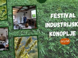 HUM: Festival industrijske konoplje