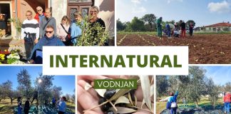 Festival Internatural