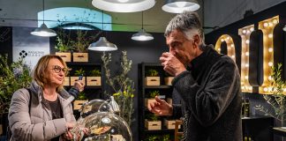 U petak otvaranje ISTRAVIRGINA – 18. Dana mladog maslinovog ulja u Vodnjanu