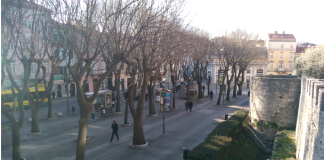 PULA: Započinje uklanjanje opasnih stabala na Giardinima – Radovi će se odvijati od 14. do 17. studenoga