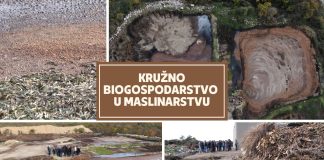 Kružno biogospodarstvo u maslinarstvu