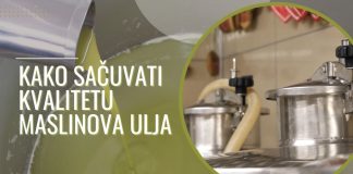 Kako sačuvati kvalitetu maslinova ulja
