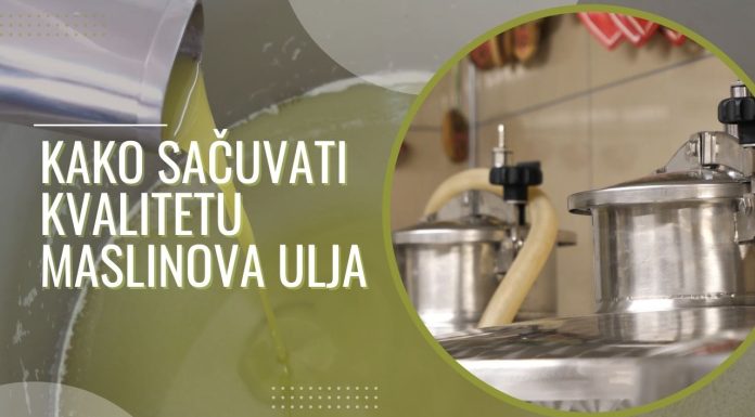 Kako sačuvati kvalitetu maslinova ulja
