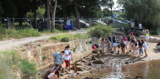 Rovinjski srednjoškolci proveli akciju zaštite staništa ugrožene vrste kamotočca