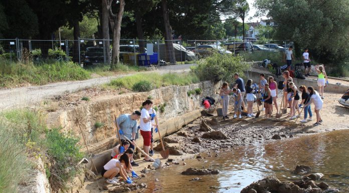 Rovinjski srednjoškolci proveli akciju zaštite staništa ugrožene vrste kamotočca