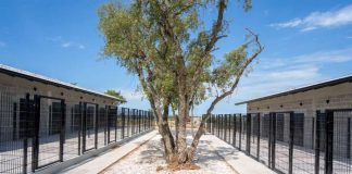 Sklonište za životinje u Puli spremno za prihvat prvih stanara