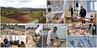 Poljoprivredna emisija Boje zemlje 18.11.2022.