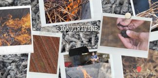 BIONUTRIVINE: Biougljen kao ekološki prihvatljiv i održiv način upravljanja ishranom vinove loze