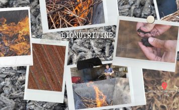 BIONUTRIVINE: Biougljen kao ekološki prihvatljiv i održiv način upravljanja ishranom vinove loze