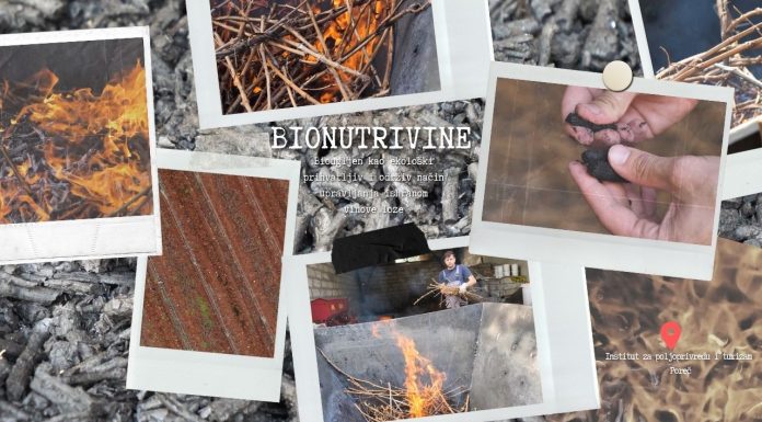 BIONUTRIVINE: Biougljen kao ekološki prihvatljiv i održiv način upravljanja ishranom vinove loze