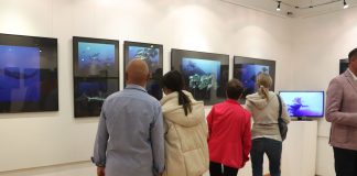 U Rovinju otvorena izložba podvodnih fotografija Vlade Bjelajca