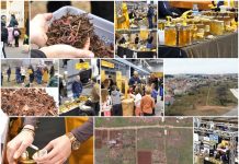 Poljoprivredna emisija Boje zemlje 26.2.2023.