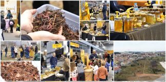 Poljoprivredna emisija Boje zemlje 26.2.2023.