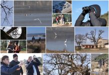 Poljoprivredna emisija Boje zemlje 5.2.2023.