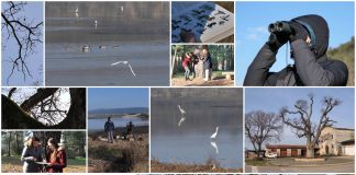 Poljoprivredna emisija Boje zemlje 5.2.2023.