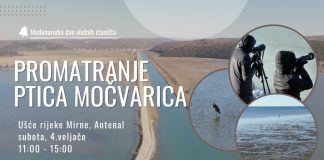 Natura Histrica poziva građane na promatranje ptica močvarica povodom Međunarodnog dana vlažnih staništa