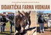 Didaktička farma u Vodnjanu – životinje kao terapija i pomoć društvu