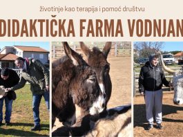 Didaktička farma u Vodnjanu – životinje kao terapija i pomoć društvu