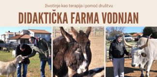 Didaktička farma u Vodnjanu – životinje kao terapija i pomoć društvu