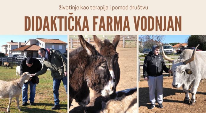 Didaktička farma u Vodnjanu – životinje kao terapija i pomoć društvu
