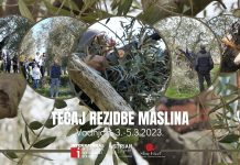 Trodnevni tečaj rezidbe maslina u Vodnjanu