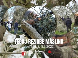 Trodnevni tečaj rezidbe maslina u Vodnjanu