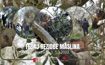 Trodnevni tečaj rezidbe maslina u Vodnjanu