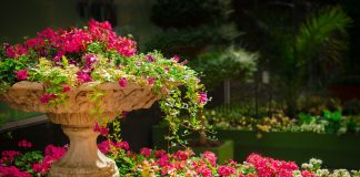 Natječaj za najljepše uređenu okućnicu u općini Sveta Nedelja