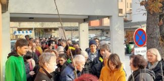 PAZIN: U sklopu Akcije Zasadi stablo ne budi panj podijeljeno 150 sadnica voćaka