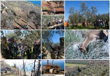 Poljoprivredna emisija Boje zemlje 5.3.2023.