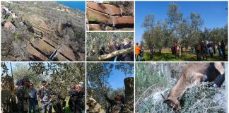 Poljoprivredna emisija Boje zemlje 5.3.2023.