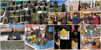 Poljoprivredna emisija Boje zemlje 19.3.2023.