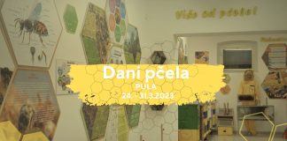 Otvoreni Dani pčela u Puli