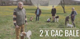 Uskoro Nacionalne izložbe pasa u Balama