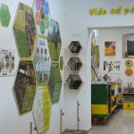 PULA: Stručno predavanje Pčelinja pelud u apiterapiji