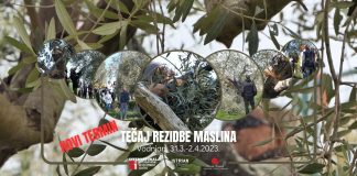 Zbog velikog interesa otvorene prijave za treći termin rezidbe maslina od 31.3.-2.4.