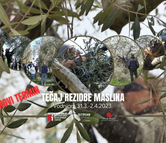 Zbog velikog interesa otvorene prijave za treći termin rezidbe maslina od 31.3.-2.4.