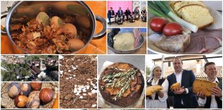 Poljoprivredna emisija Boje zemlje 9.4.2023.